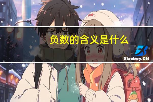 负数的含义是什么