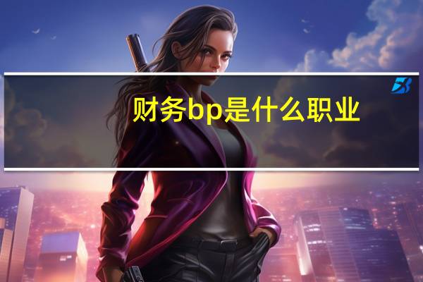 财务bp是什么职业