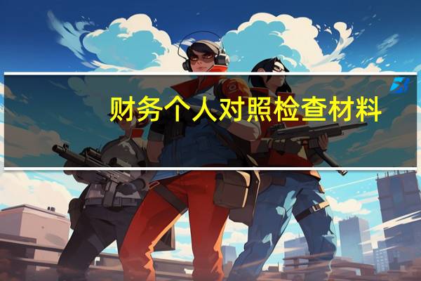 财务个人对照检查材料