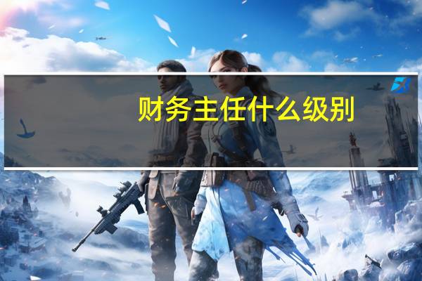 财务主任什么级别
