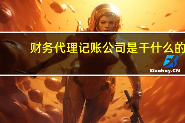财务代理记账公司是干什么的