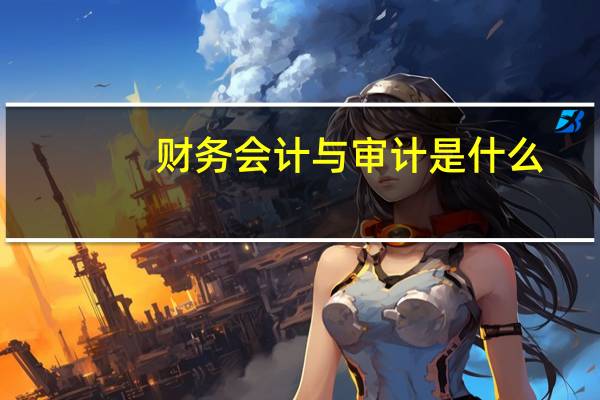 财务会计与审计是什么
