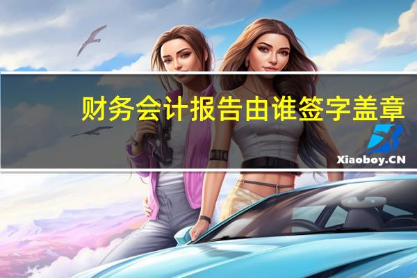 财务会计报告由谁签字盖章