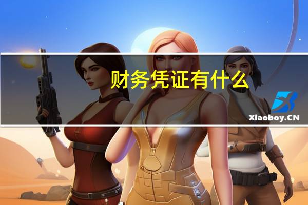 财务凭证有什么