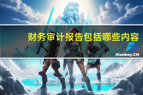 财务审计报告包括哪些内容