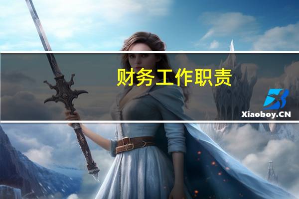 财务工作职责