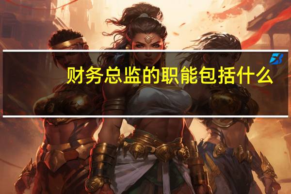 财务总监的职能包括什么