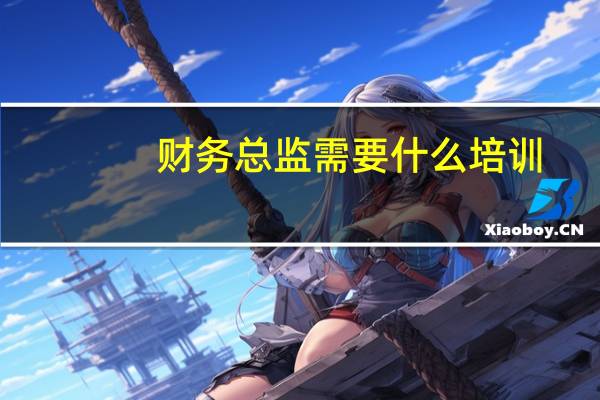 财务总监需要什么培训
