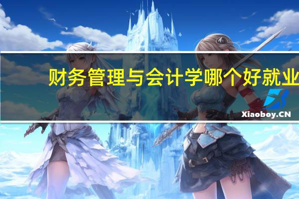 财务管理与会计学哪个好就业