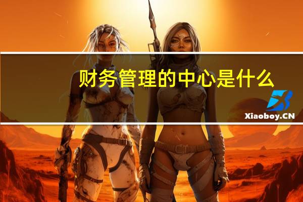 财务管理的中心是什么