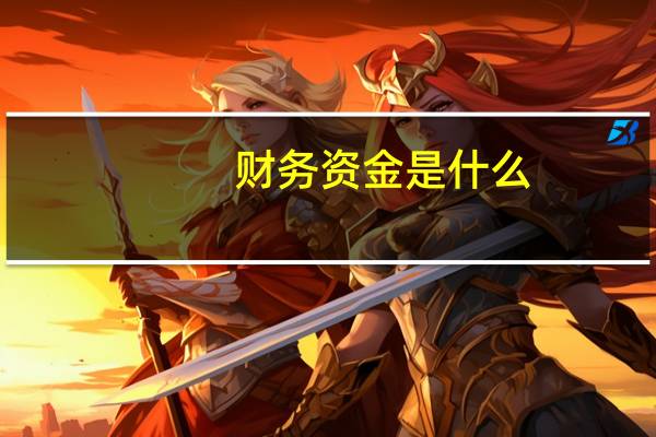 财务资金是什么