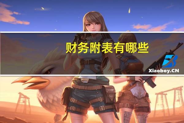 财务附表有哪些