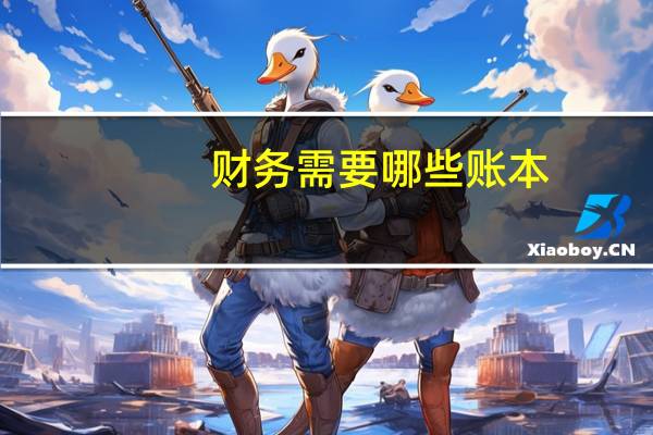 财务需要哪些账本