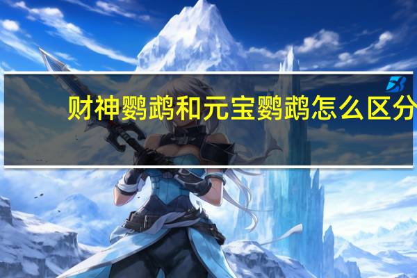 财神鹦鹉和元宝鹦鹉怎么区分