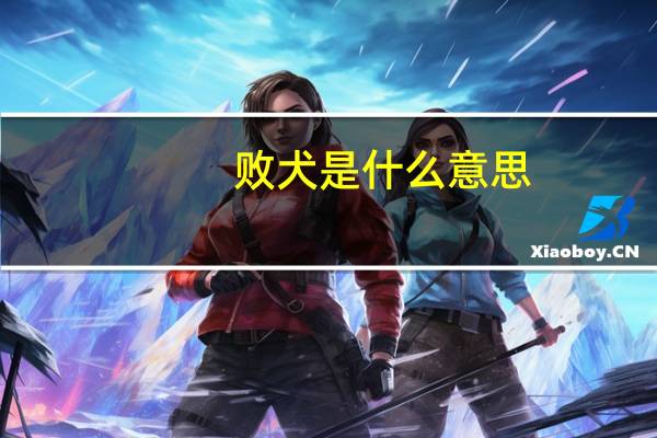败犬是什么意思