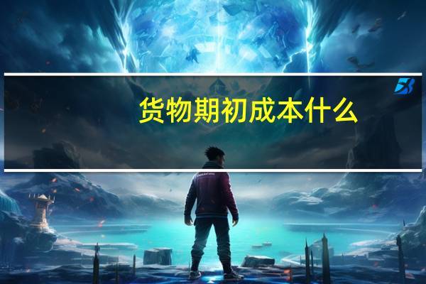 货物期初成本什么