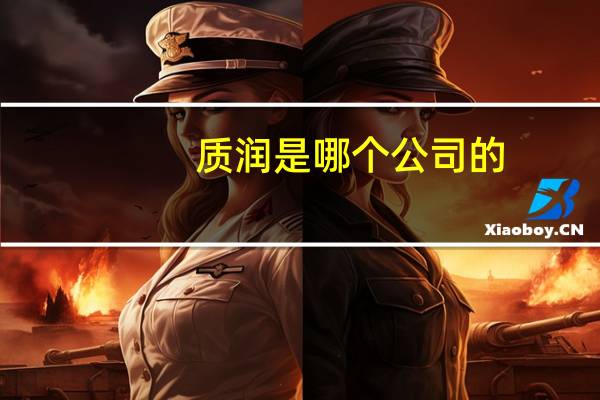 质润是哪个公司的