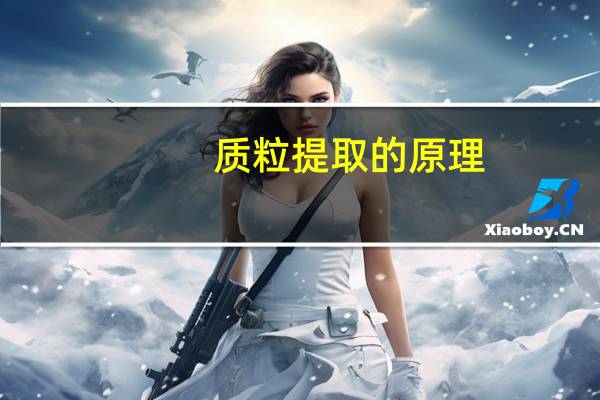 质粒提取的原理