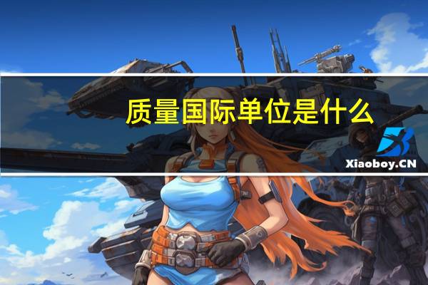 质量国际单位是什么