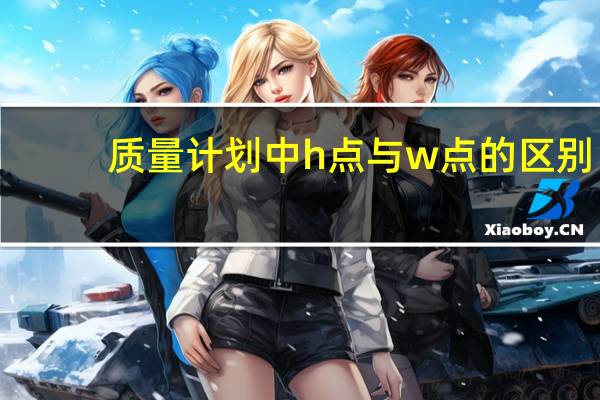 质量计划中h点与w点的区别
