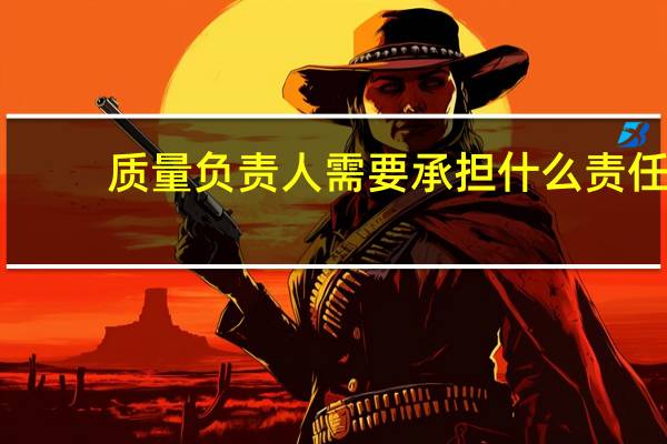 质量负责人需要承担什么责任