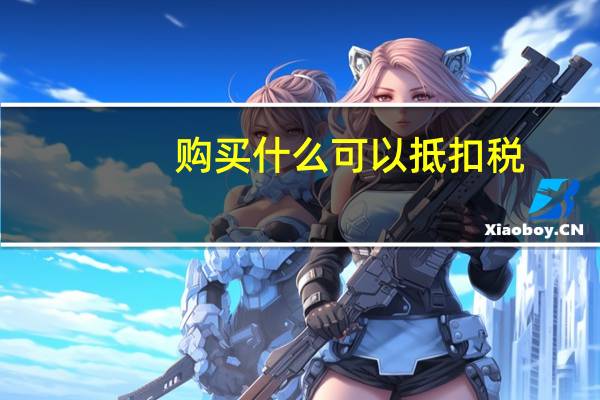 购买什么可以抵扣税