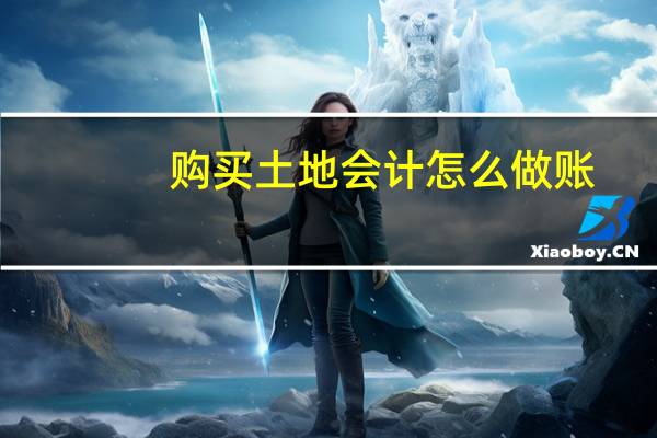 购买土地会计怎么做账
