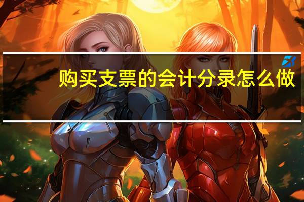 购买支票的会计分录怎么做