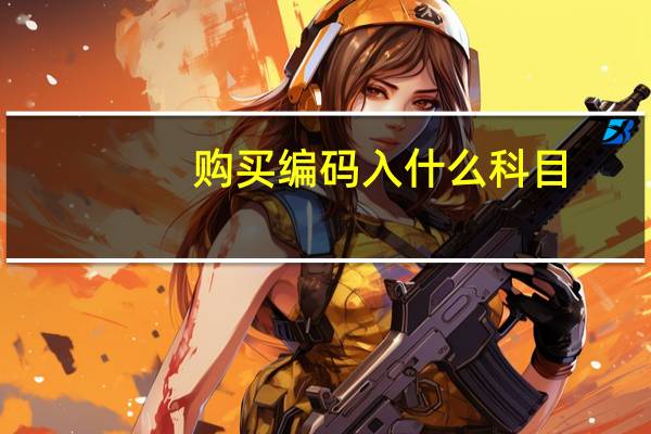 购买编码入什么科目