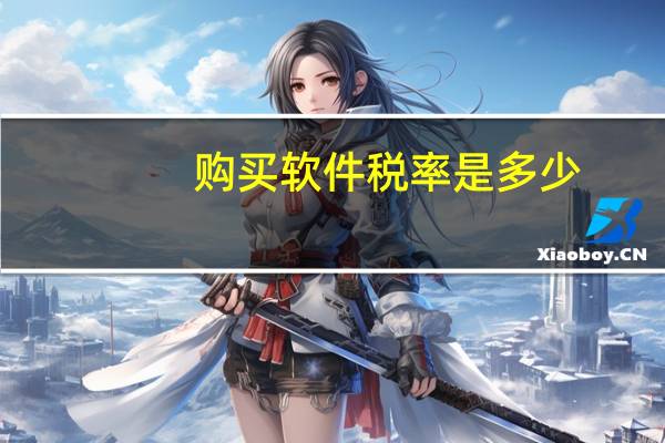 购买软件税率是多少