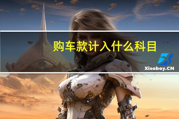 购车款计入什么科目