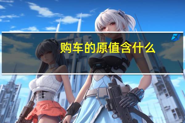 购车的原值含什么