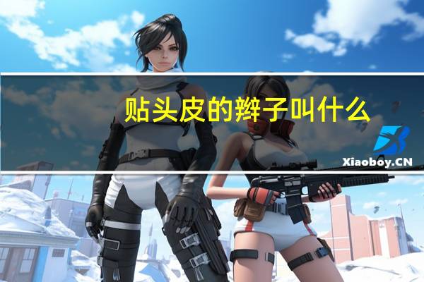 贴头皮的辫子叫什么