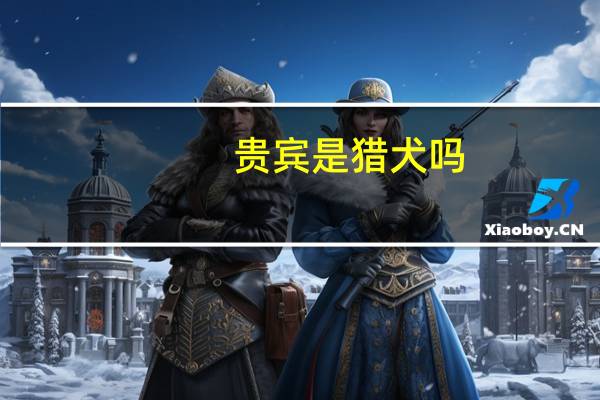 贵宾是猎犬吗