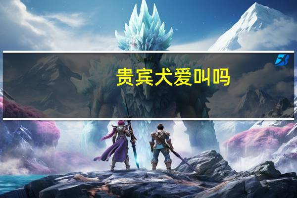 贵宾犬爱叫吗