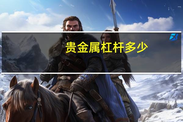 贵金属杠杆多少