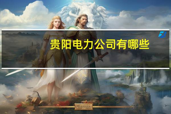 贵阳电力公司有哪些