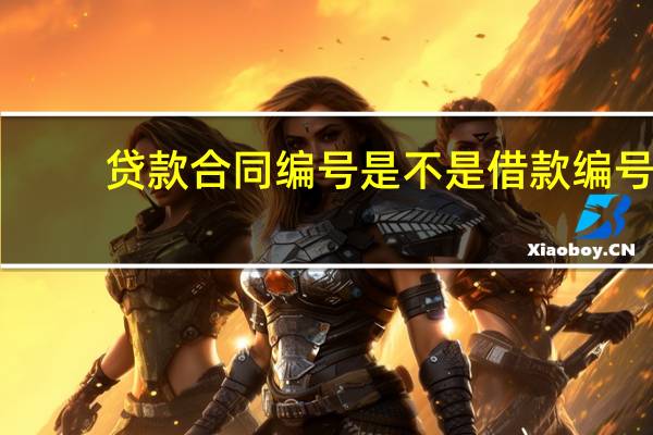 贷款合同编号是不是借款编号