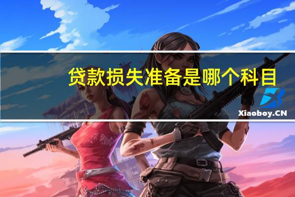 贷款损失准备是哪个科目