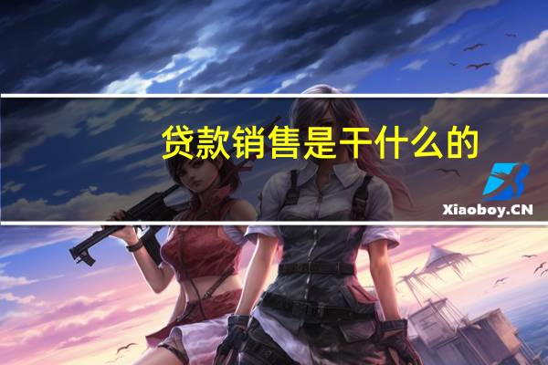 贷款销售是干什么的