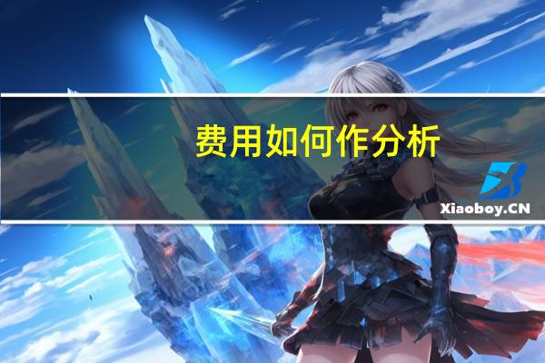 费用如何作分析