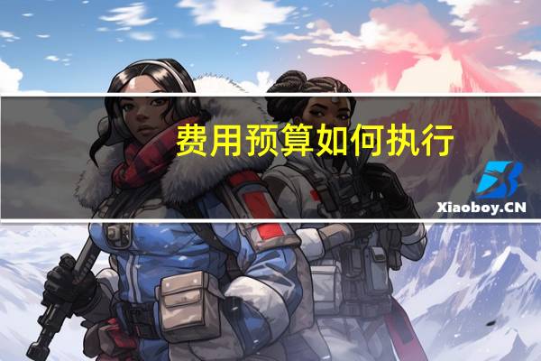 费用预算如何执行