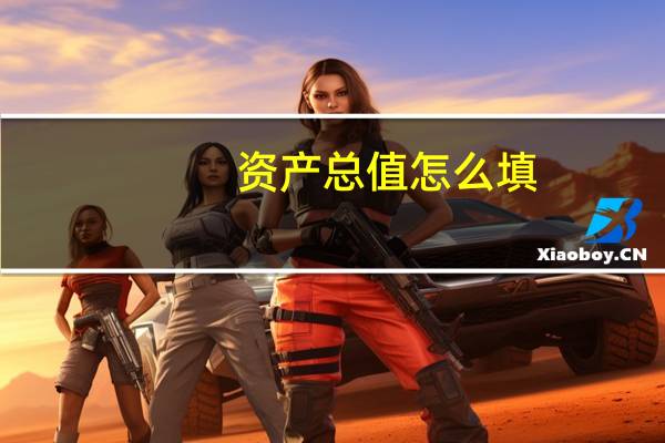 资产总值怎么填
