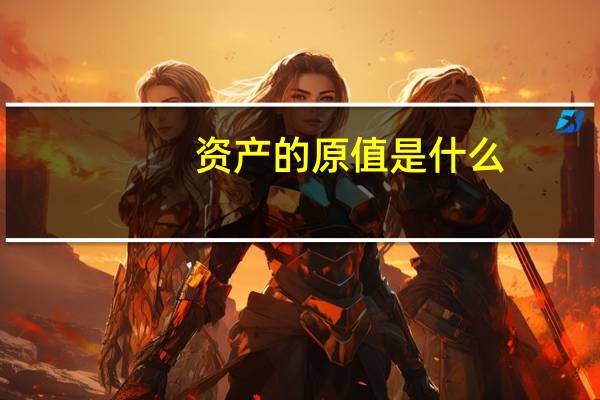 资产的原值是什么