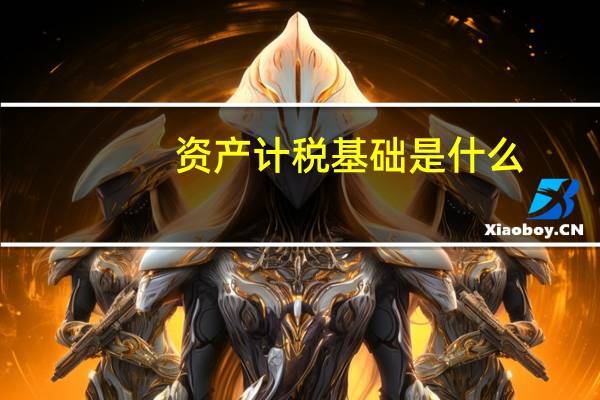 资产计税基础是什么