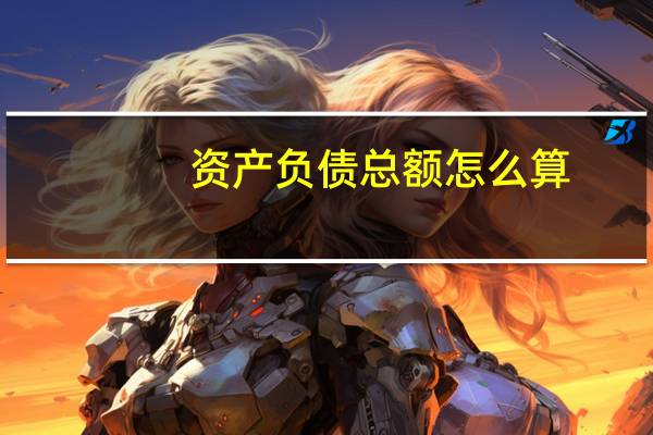 资产负债总额怎么算
