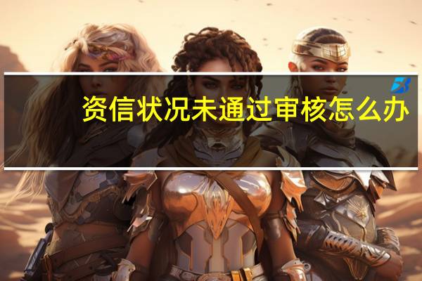 资信状况未通过审核怎么办