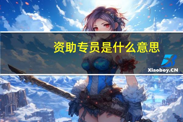 资助专员是什么意思
