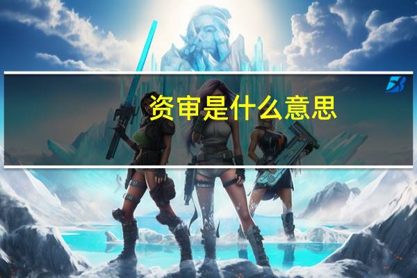资审是什么意思