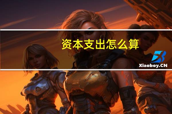 资本支出怎么算